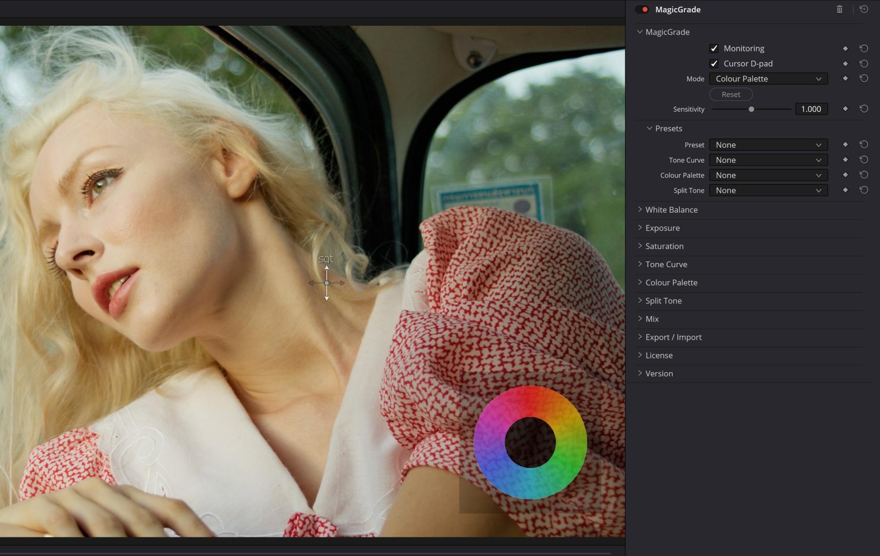MagicGrade tone-curve overlay applied to a colour-graded portrait shot