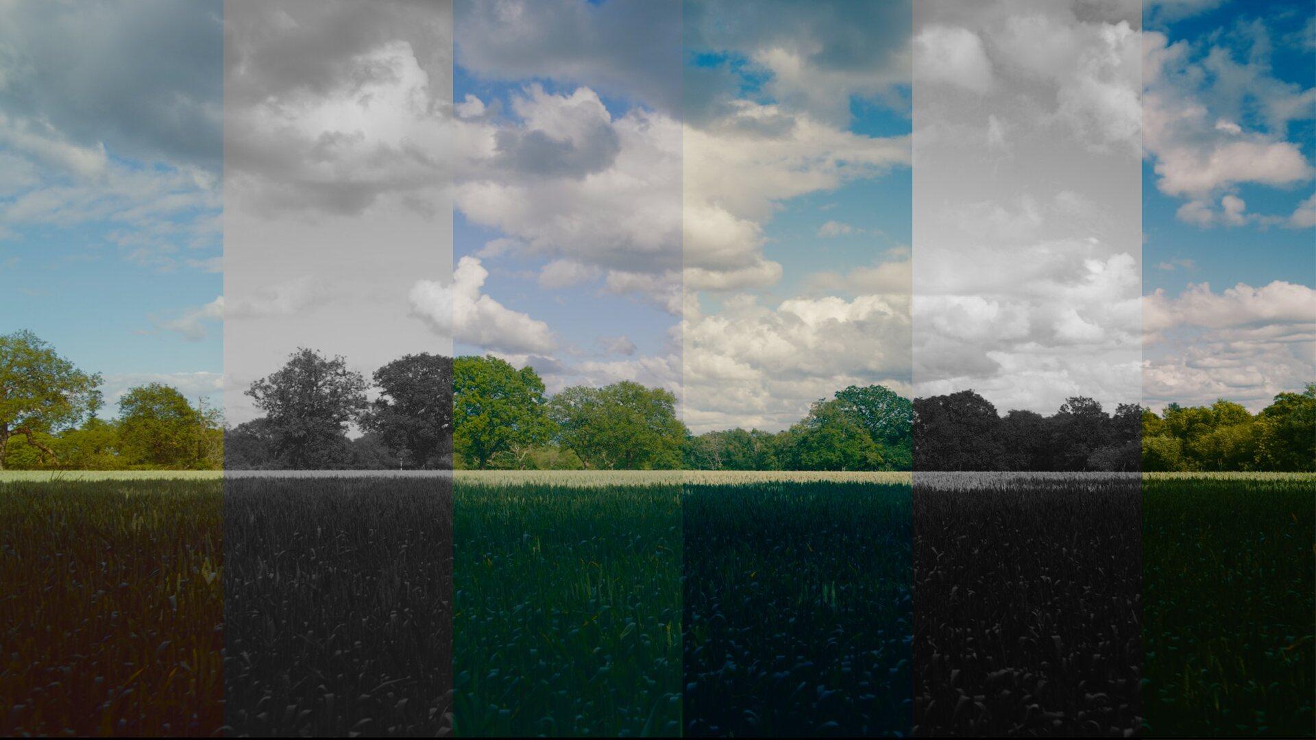The MagicGrade film stock picker grid inside the plugin