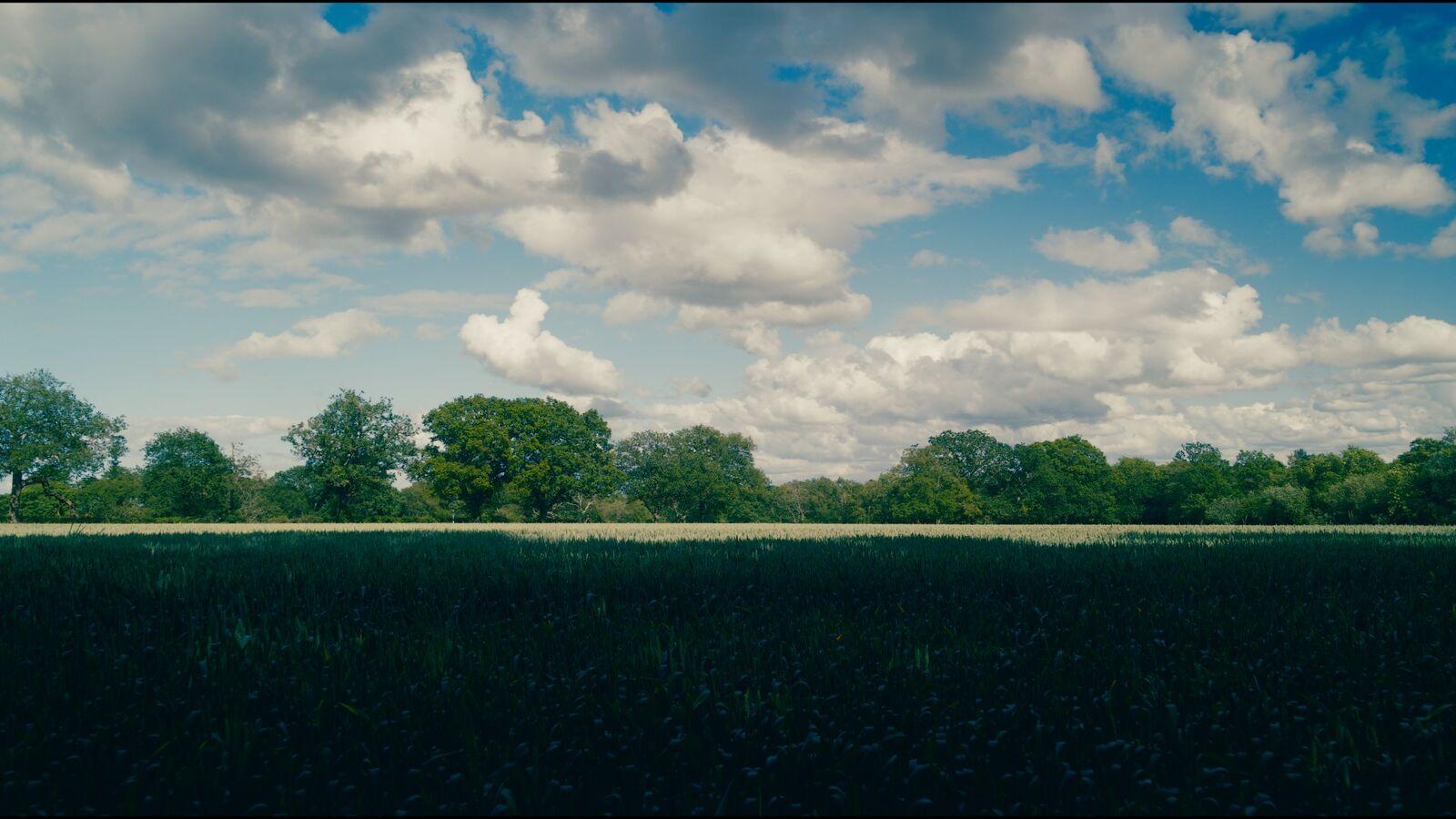 Aria 400 film stock applied to the demo frame