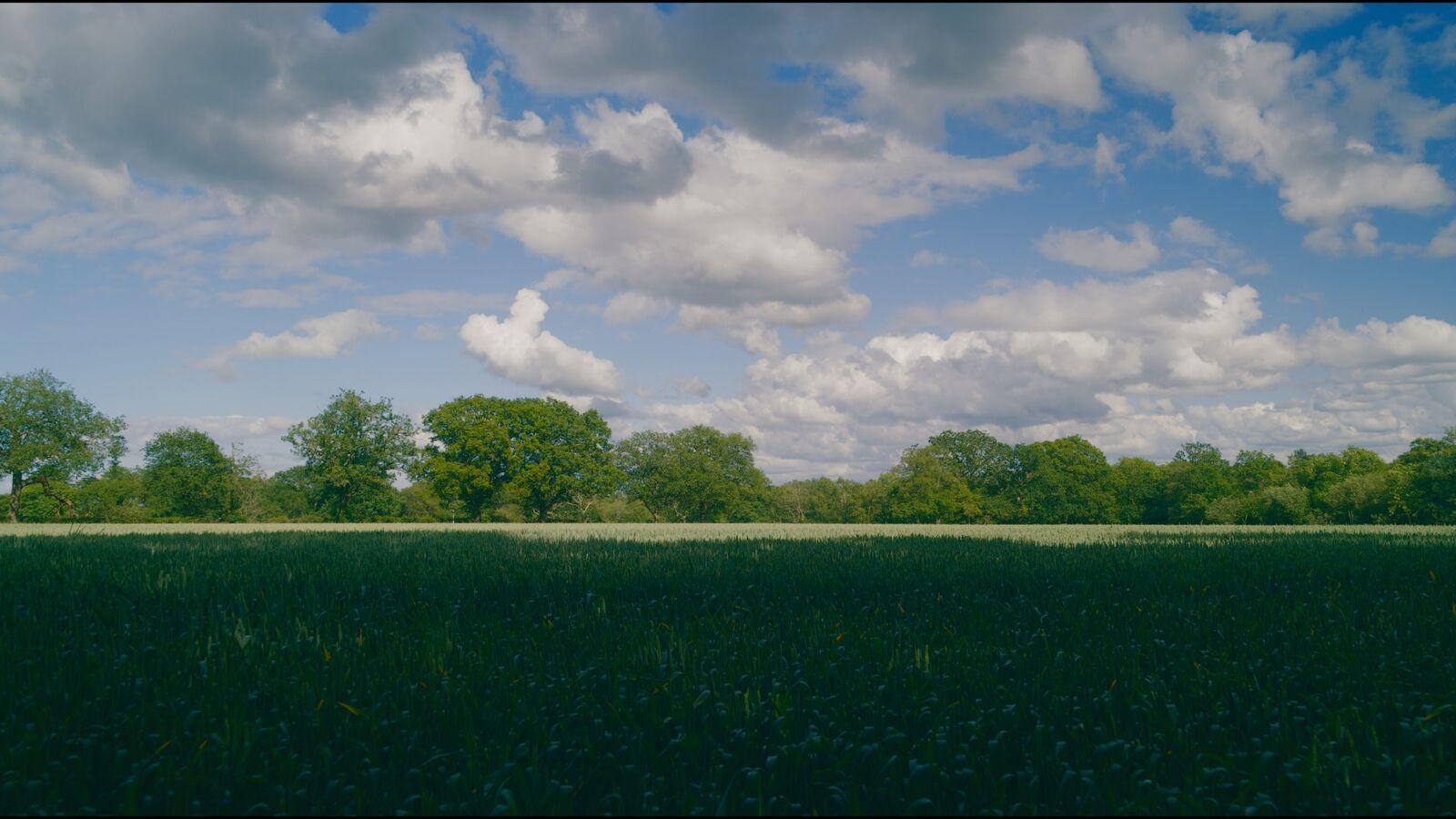 Astra 100 film stock applied to the demo frame