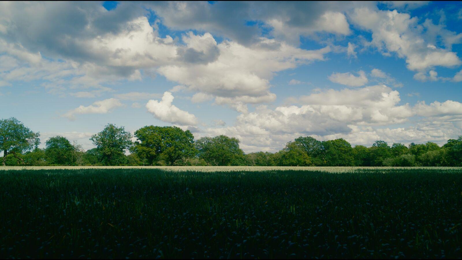 Holiday 200 film stock applied to the demo frame