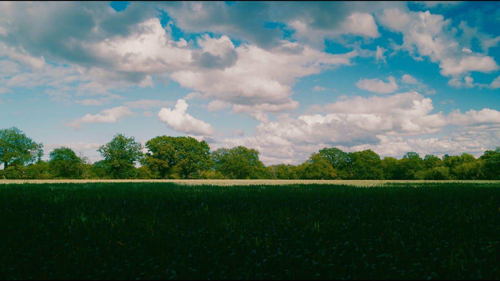 Honey 100 film stock applied to the demo frame