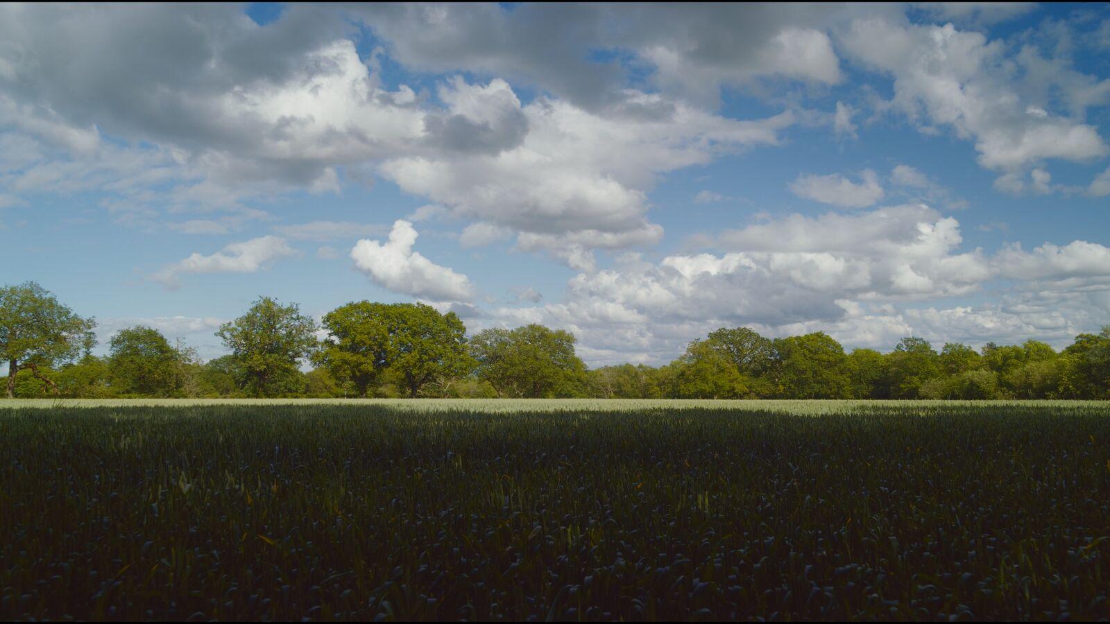 Kromat 200 film stock applied to the demo frame