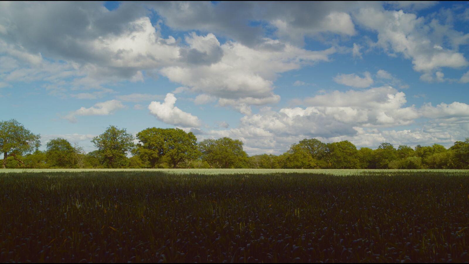 Kromat 64 film stock applied to the demo frame