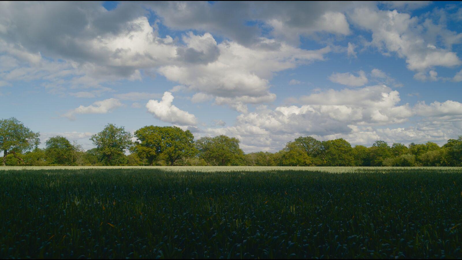 Lumina Warm film stock applied to the demo frame