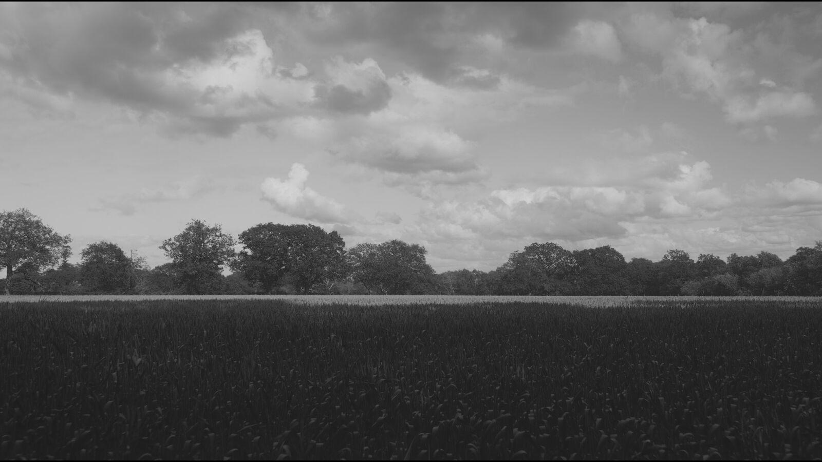 Mono Duplex 250 film stock applied to the demo frame