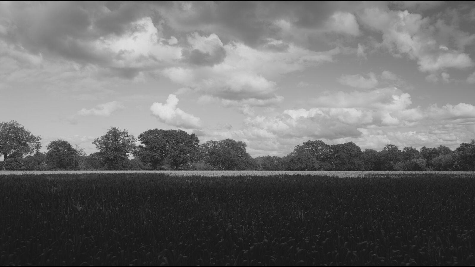 Mono Finepoint 125 film stock applied to the demo frame
