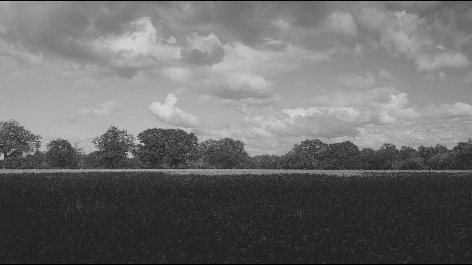 Mono Highpoint 400 film stock applied to the demo frame