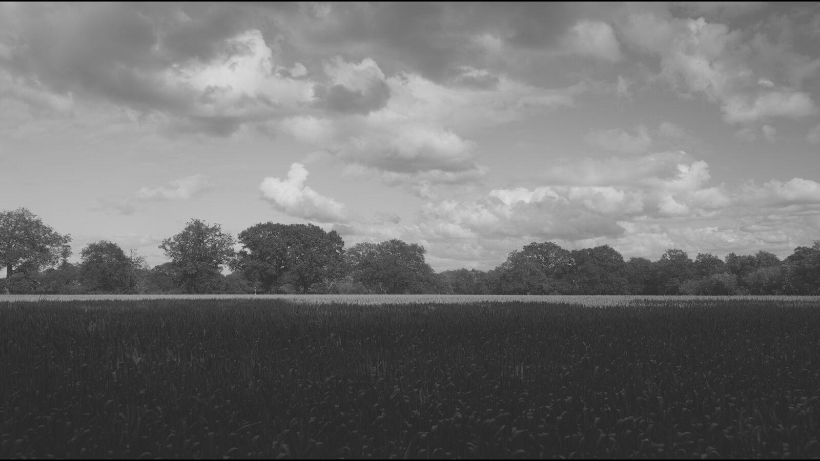 Mono Vertex 400 film stock applied to the demo frame