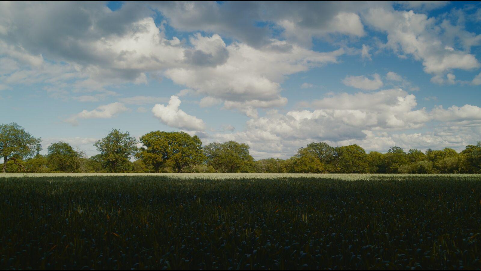 Sight 200T film stock applied to the demo frame
