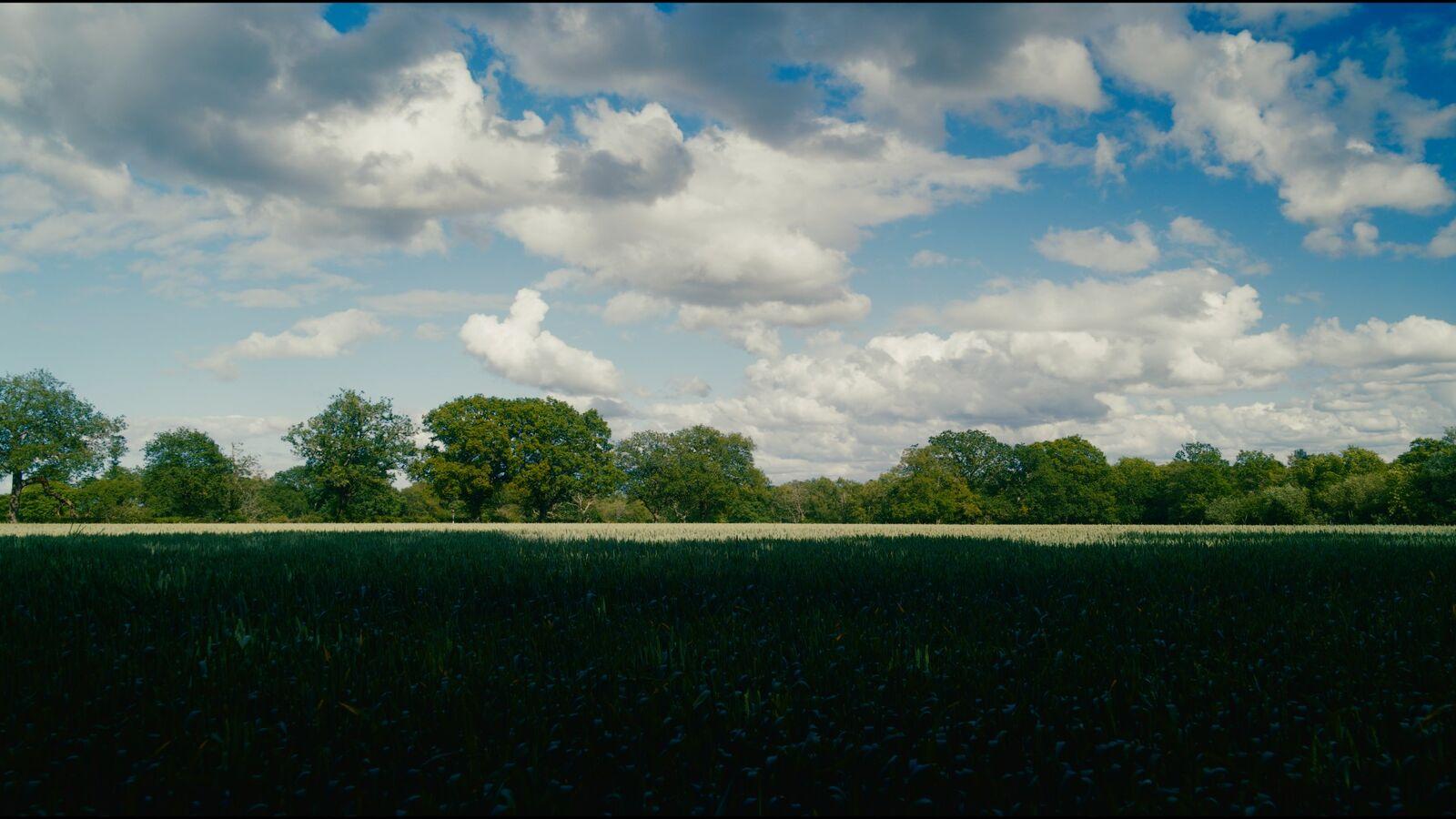Suprema 400 film stock applied to the demo frame