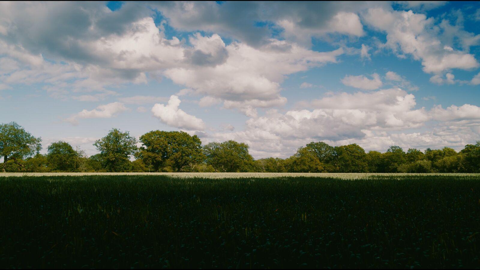 Vantage 100 film stock applied to the demo frame