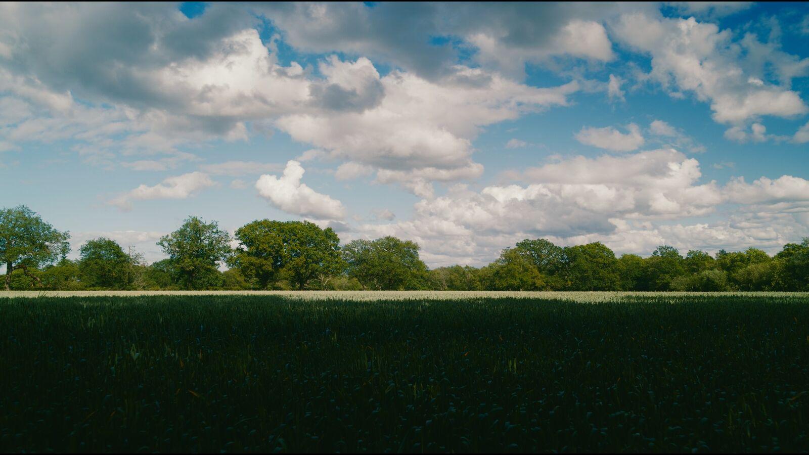 Verite 100 film stock applied to the demo frame